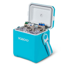 Load image into Gallery viewer, Tag Along Too Cooler