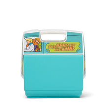 Load image into Gallery viewer, FALSE