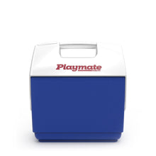 Load image into Gallery viewer, Definitely Not Beers Playmate Pal 7 Qt Cooler
