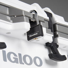 Load image into Gallery viewer, IMX 24 Qt Cooler