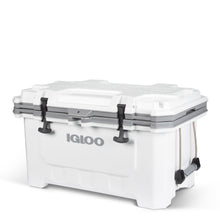 Load image into Gallery viewer, IMX 70 Qt Cooler