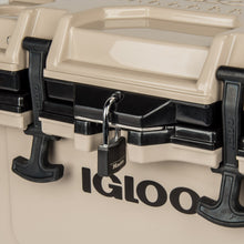 Load image into Gallery viewer, IMX 24 Qt Cooler