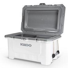 Load image into Gallery viewer, IMX 70 Qt Cooler

