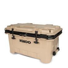 Load image into Gallery viewer, IMX 70 Qt Cooler
