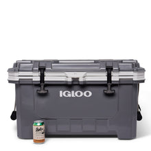 Load image into Gallery viewer, IMX 70 Qt Cooler
