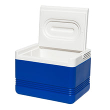 Load image into Gallery viewer, Legend 6-Can 5 Qt Cooler
